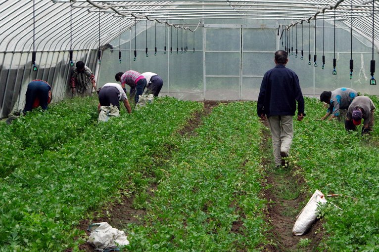 Best farming solutions in India