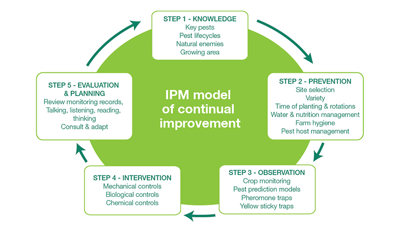 Integrated Pest Management steps