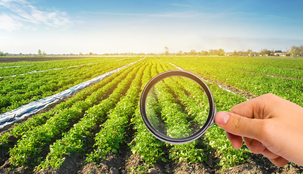 Agriculture crop protection without chemicals