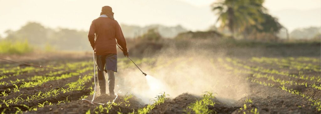 spraying the best insecticides for agriculture